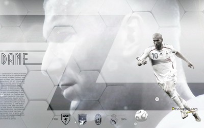 乐竞播报-对手抱头：这都能扑出来